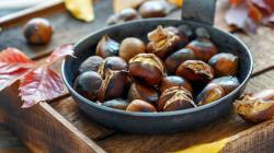 Gesztenye gyógyhatásai: sokrétűbbek, mint gondolná