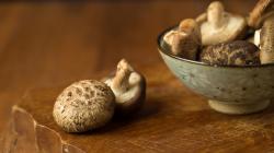Shiitake gomba hatásai, adagolása